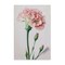 Stupell Industries Pale Carnation Budding Canvas Wall Art Design by Incado